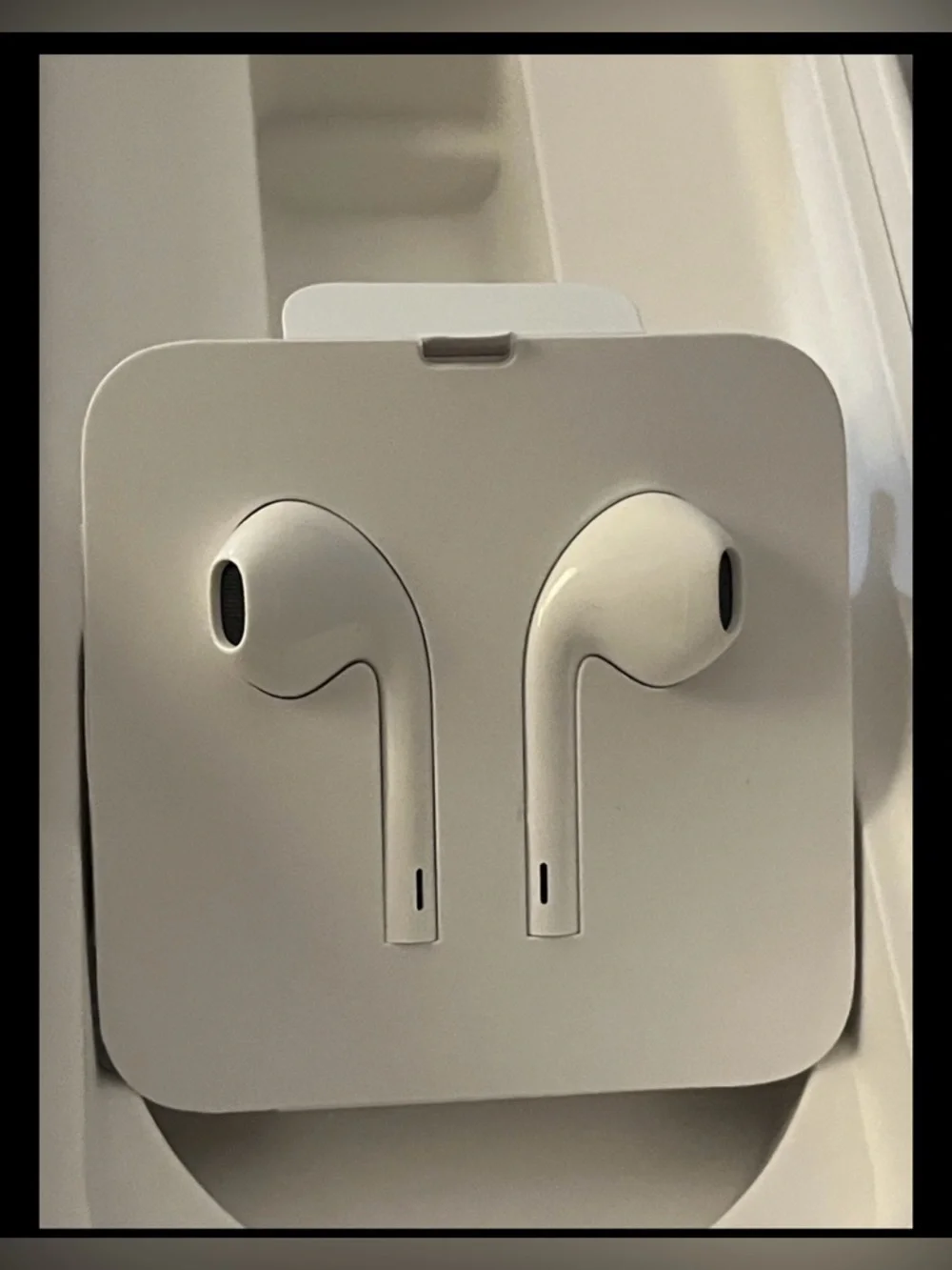 Authentic Apple earbuds with Lightning connector- wired design ~New~